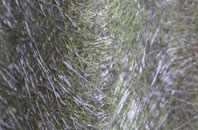 Cawthorpe fibreglass roof work